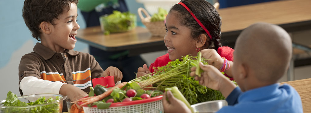 Do School based Nutrition Education Programs Have Long term Effects On 